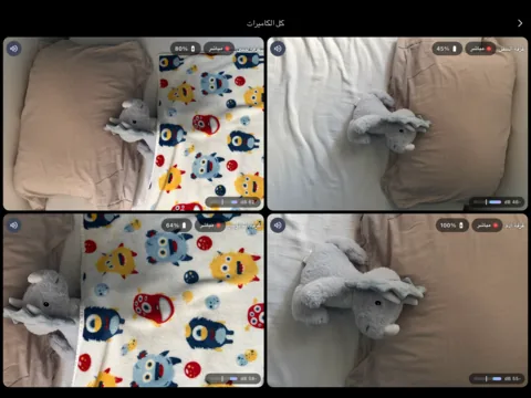 Lullink على iPad: متابعة أربع غرف في الوقت نفسه