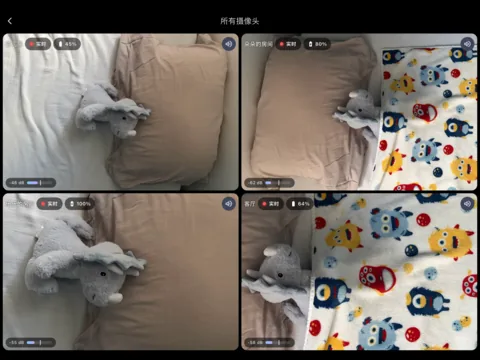 iPad 上的 Lullink：同时查看四个房间